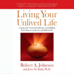 ‘Living your unlived life’ van Robert Johnson